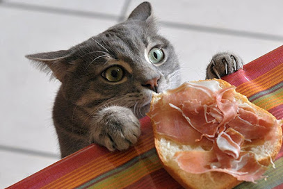 изображение от Арм-Мани Кубань